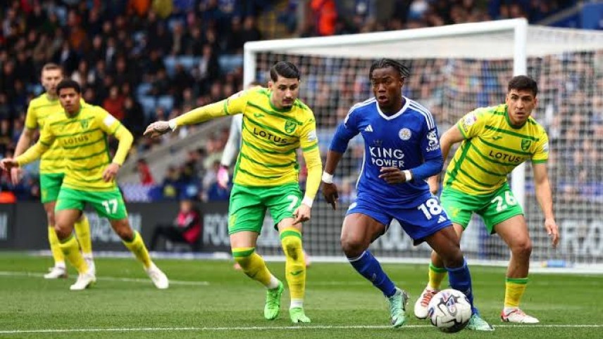 Nhận định và dự đoán trận đấu: Norwich City vs Leicester City